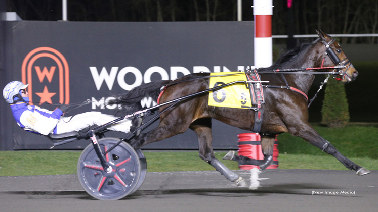 ChicChocRose-112425-NewImageMedia-1024px