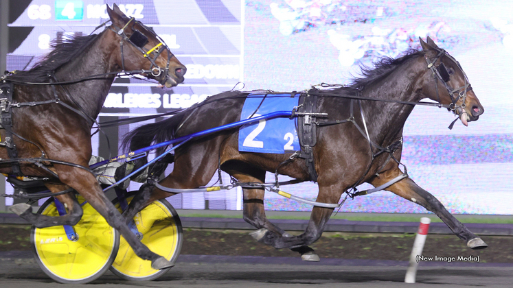 Cold Creek Fuego winning at Woodbine Mohawk Park