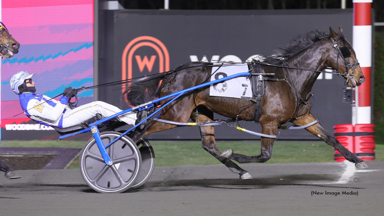 Cold Creek Fuego winning at Woodbine Mohawk Park
