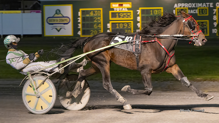 El Toro Loco winning at Batavia Downs