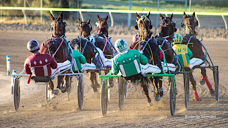 Harness racing in California