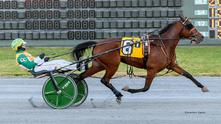 TuisStar-111025-QuentonEgan-1024px