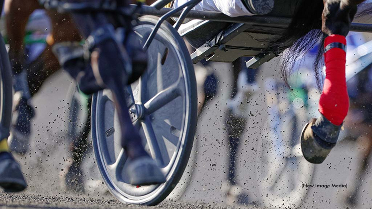 Canadian harness racing at Woodbine Mohawk Park