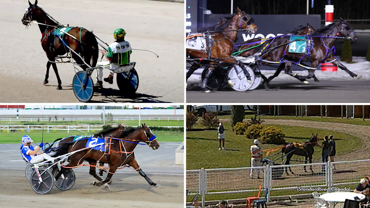 Canada's biggest upsets of 2025