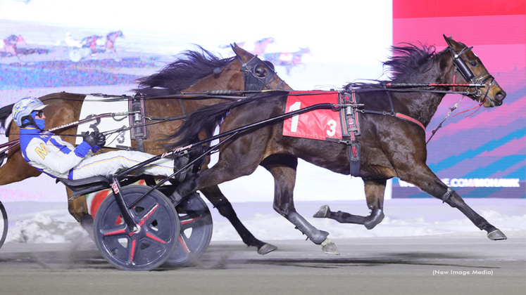 ChicChocRose-121525-NewImageMedia-1024px