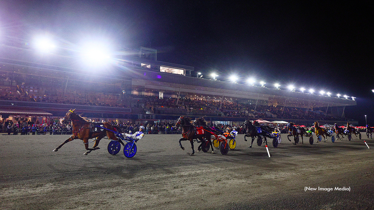 Harness racing at Woodbine Mohawk Park