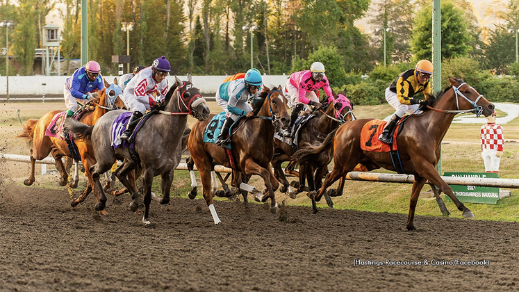 Thoroughbred racing at Hastings Racecourse