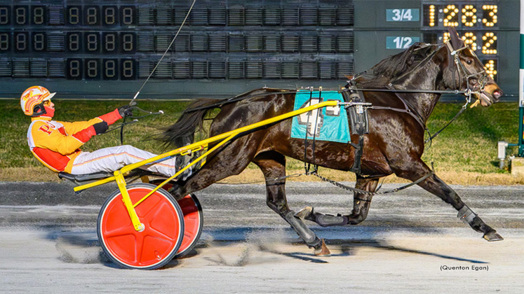 KatsFancy-120825-QuentonEgan-1024px