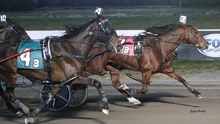 Remy Brown N winning at The Meadowlands