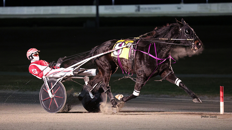 Sir Pinocchio winning at Yonkers Raceway