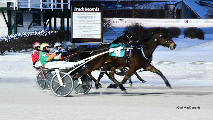 TH Boomtown winning at Charlottetown Driving Park
