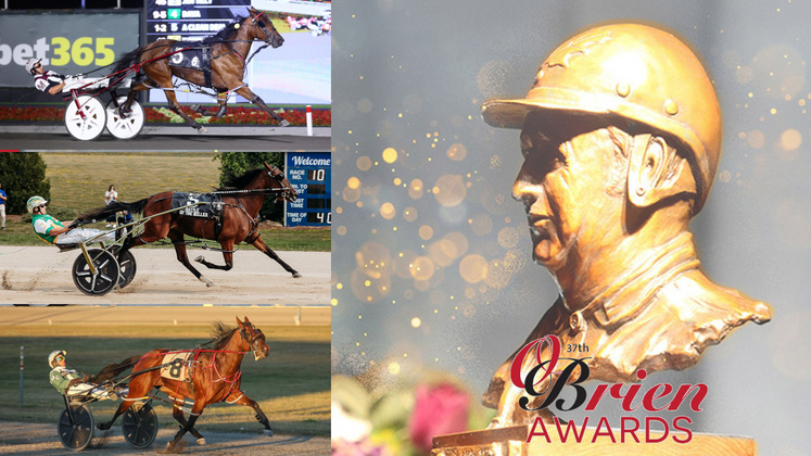 2025 O'Brien Award finalists: Two-Year-Old Pacing Filly