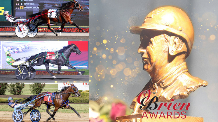 2025 O'Brien Award finalists: Three-Year-Old Pacing Colt