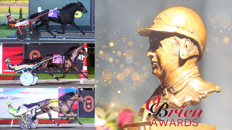 2025 O'Brien Award finalists: Armstrong Breeder of the Year