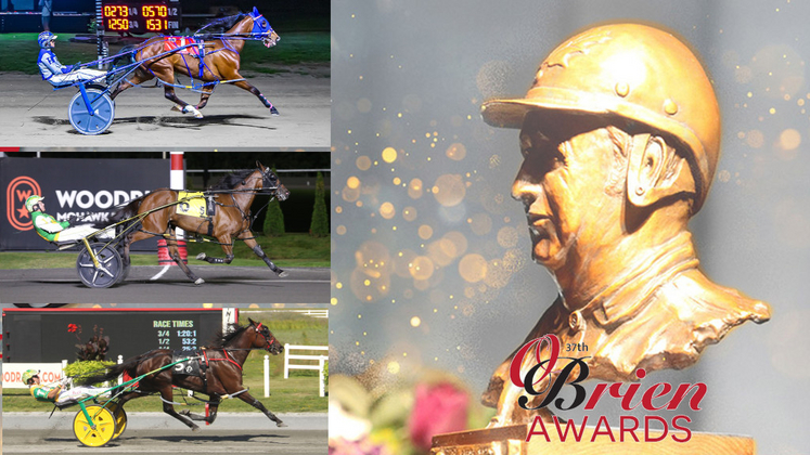 2025 O'Brien Award finalists: Older Pacing Mare