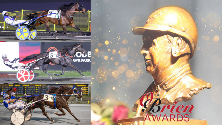 2025 O'Brien Award finalists: Older Trotting Horse