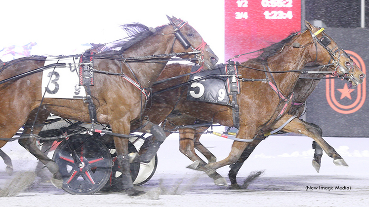 Brue Hanover