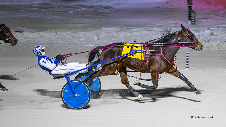 CharmboStormy-012626-Racehorsephoto-1024px