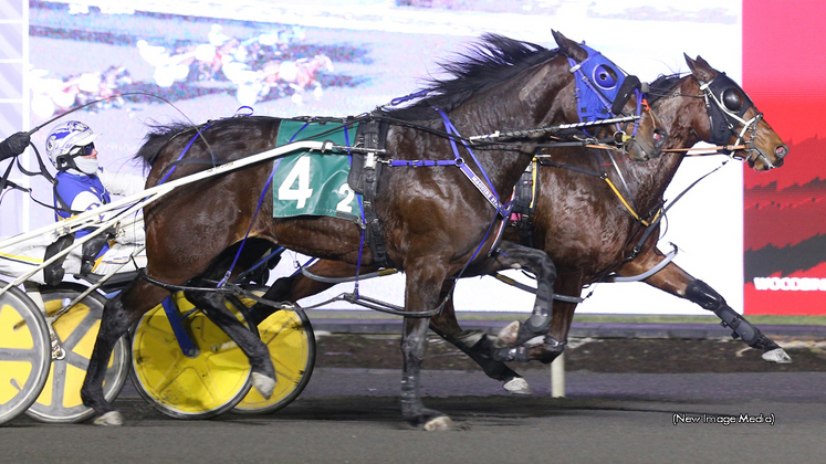 Sugar Pie Honey winning at Woodbine Mohawk Park