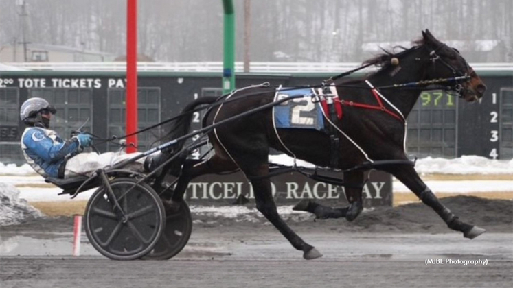 Greg Merton driving Lanas Desire