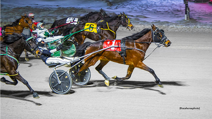 Livingitlarge-022326-Racehorsephoto-1024px