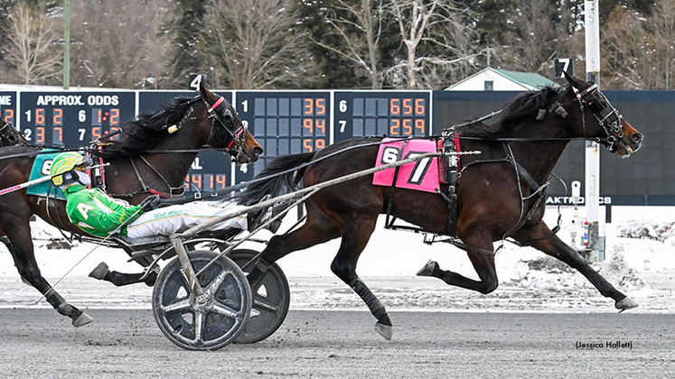 Memorynimagination-022326-JessicaHallett-1024px