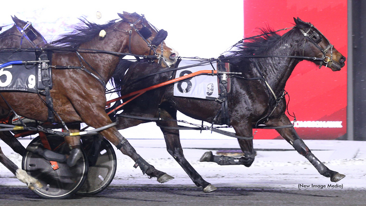 So Much More winning at Woodbine Mohawk Park