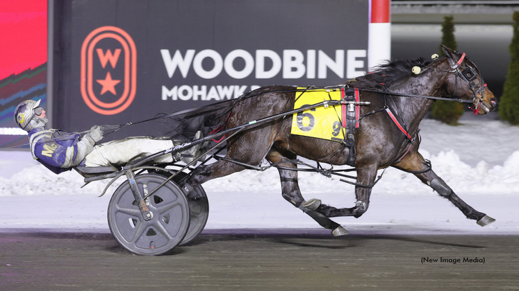Angostura Hanover winning at Woodbine Mohawk Park
