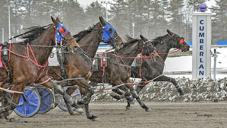 Harness racing at First Tracks Cumberland