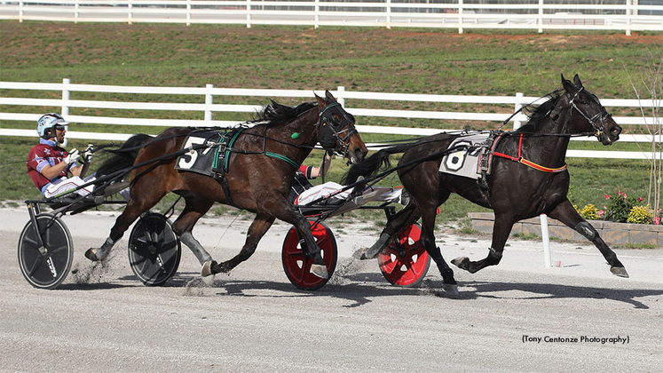 PondaJet-033126-TonyCantonzePhotography-1024px