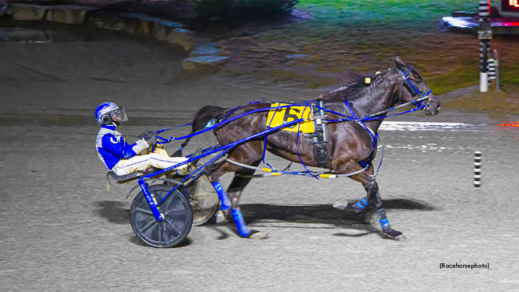 ShootTheWhiskey-033126-Racehorsephoto-1024px