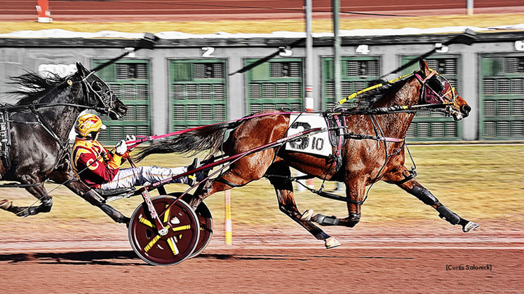 TurnThePageN-030226-CurtisSalonick-1024px