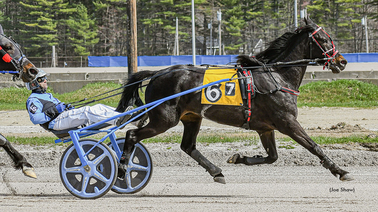 Big Al M winning at First Tracks Cumberland