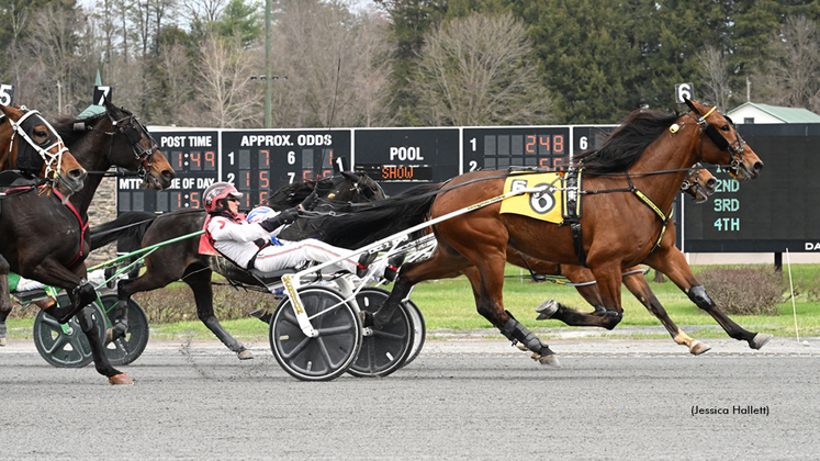 But Why winning at Saratoga Raceway