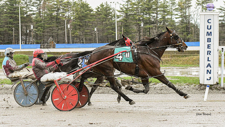 Cigars And Port winning at First Tracks Cumberland