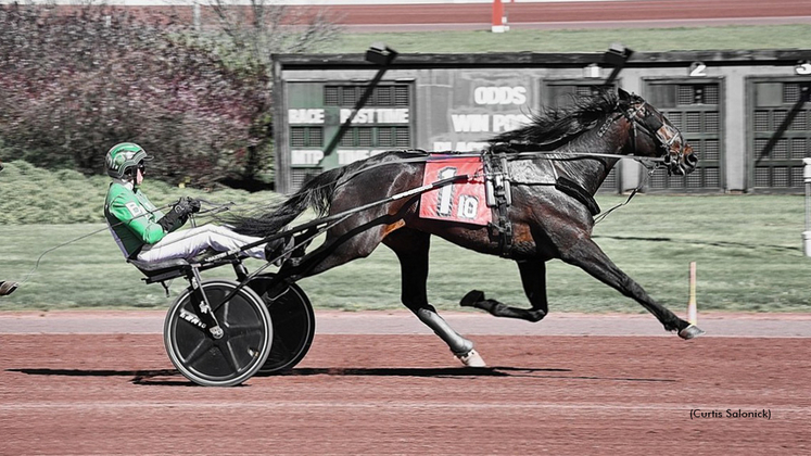 Dilly Hanover