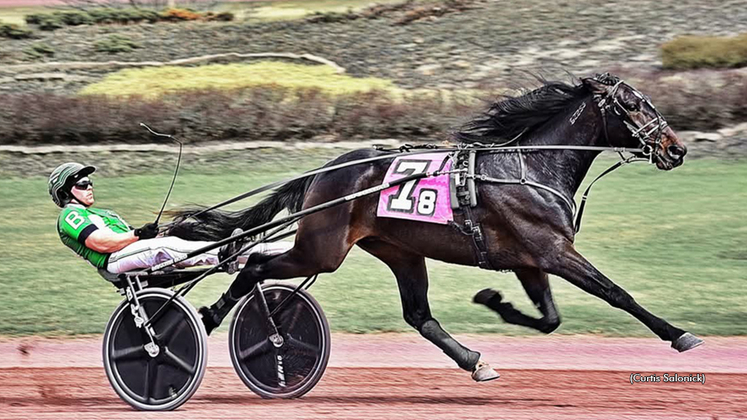 Dilly Hanover winning at Pocono Downs