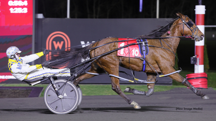 Dreamfair Diamond winning at Woodbine Mohawk Park