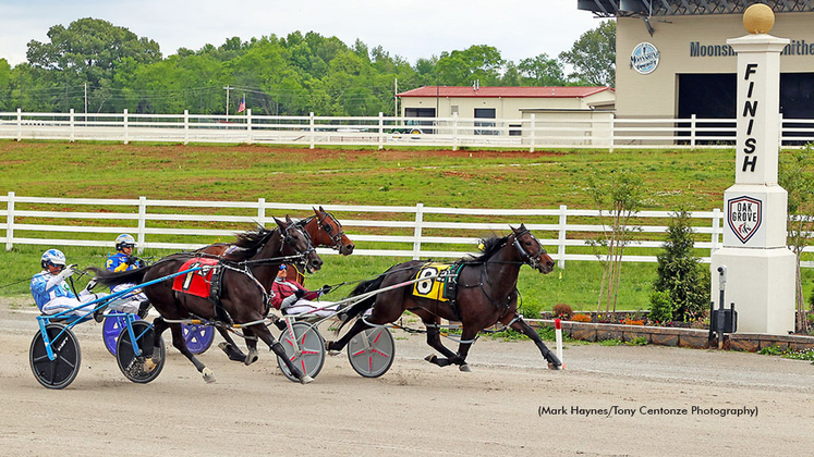 Harness racing at Oak Grove