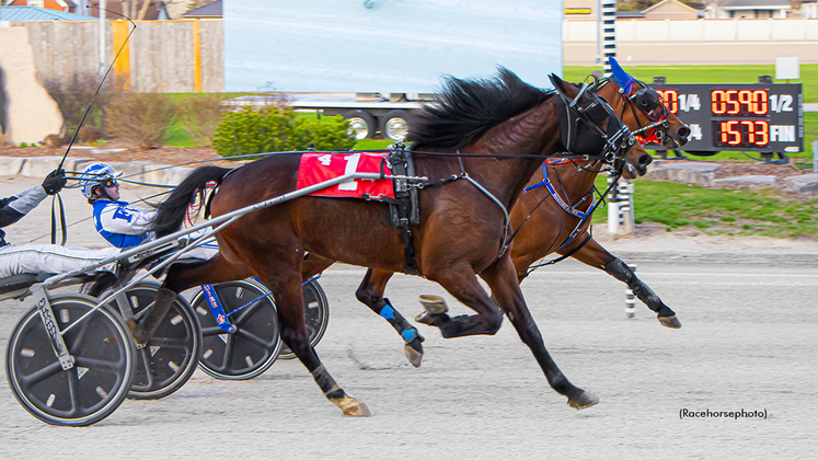 Royalty Beer winning at Western Fair Raceway