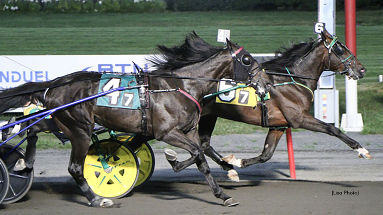 Southwind Alamo winning at The Meadowlands