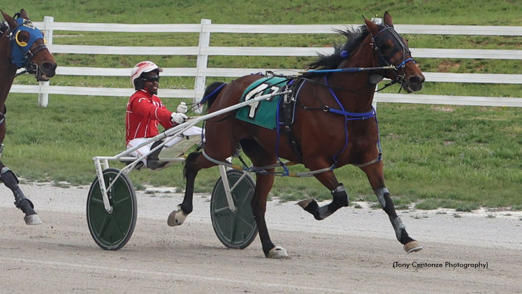 Yankee B Something winning at Oak Grove