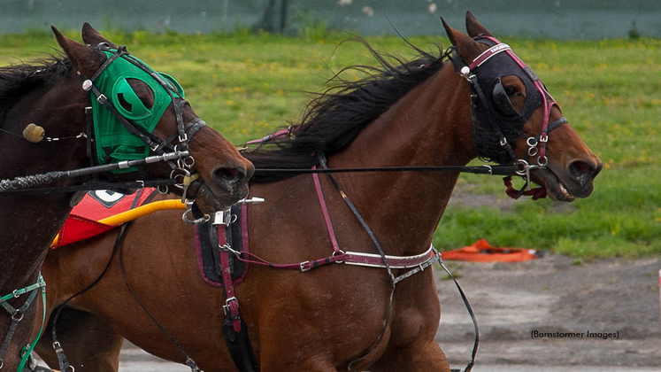 Alexas Sunshine winning at Buffalo Raceway