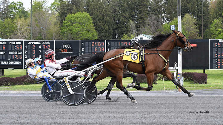 But Why winning at Saratoga Raceway