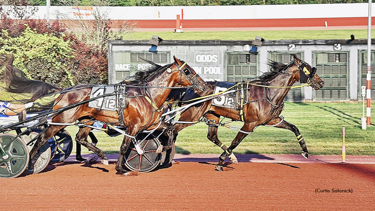 Dandy Ideal winning at Pocono Downs