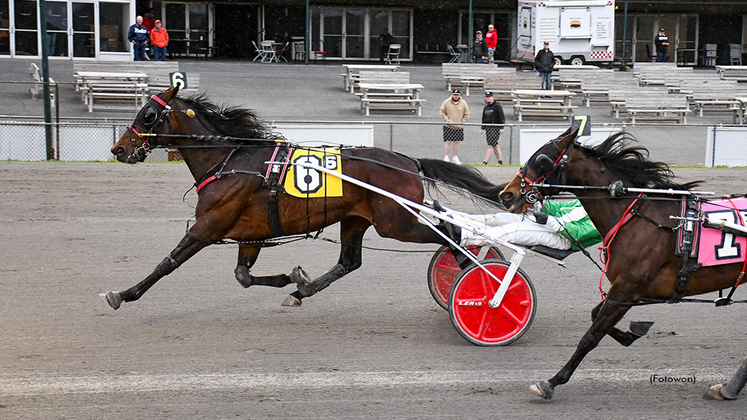 Delayed Hanover winning at Vernon Downs