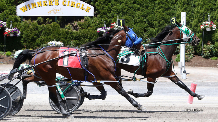 Flag Party winning at Tioga Downs