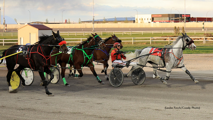 Grey Sea winning at Century Downs
