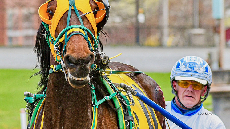 Holymotherofmoses at Bangor Raceway