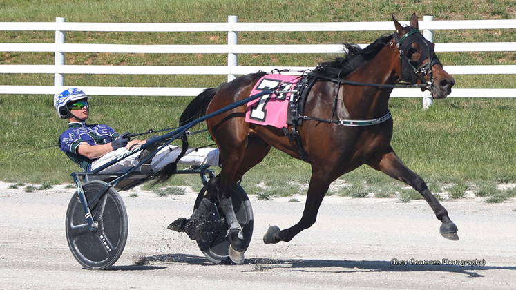 Naked And Famous winning at Oak Grove